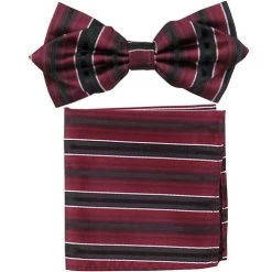 Burgundy/Black Striped Bow Tie With Pocket Square (Pointed Tip)