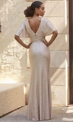 Christina Wu Celebration 22141 - SequinEvening Gown -Boutique Wedding Dress Store christina wu celebration 22141 sequinevening gown evening dresses 32312039080019