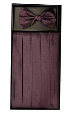 Eggplant Polyester Cummerbund And Bow Tie Set