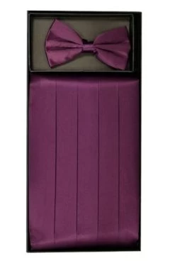 Eggplant Silk Satin Cummerbund And Bow Tie Set