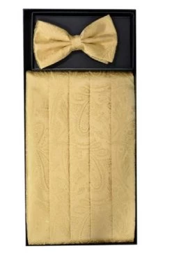 Gold Paisley Cummerbund And Bow Tie Set