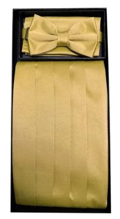 Gold Poly Satin Cummerbund, Bow Tie, And Hanky Set