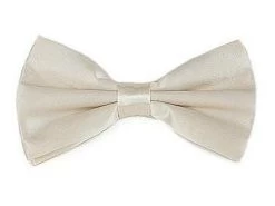 Ivory Silk Bow Ties