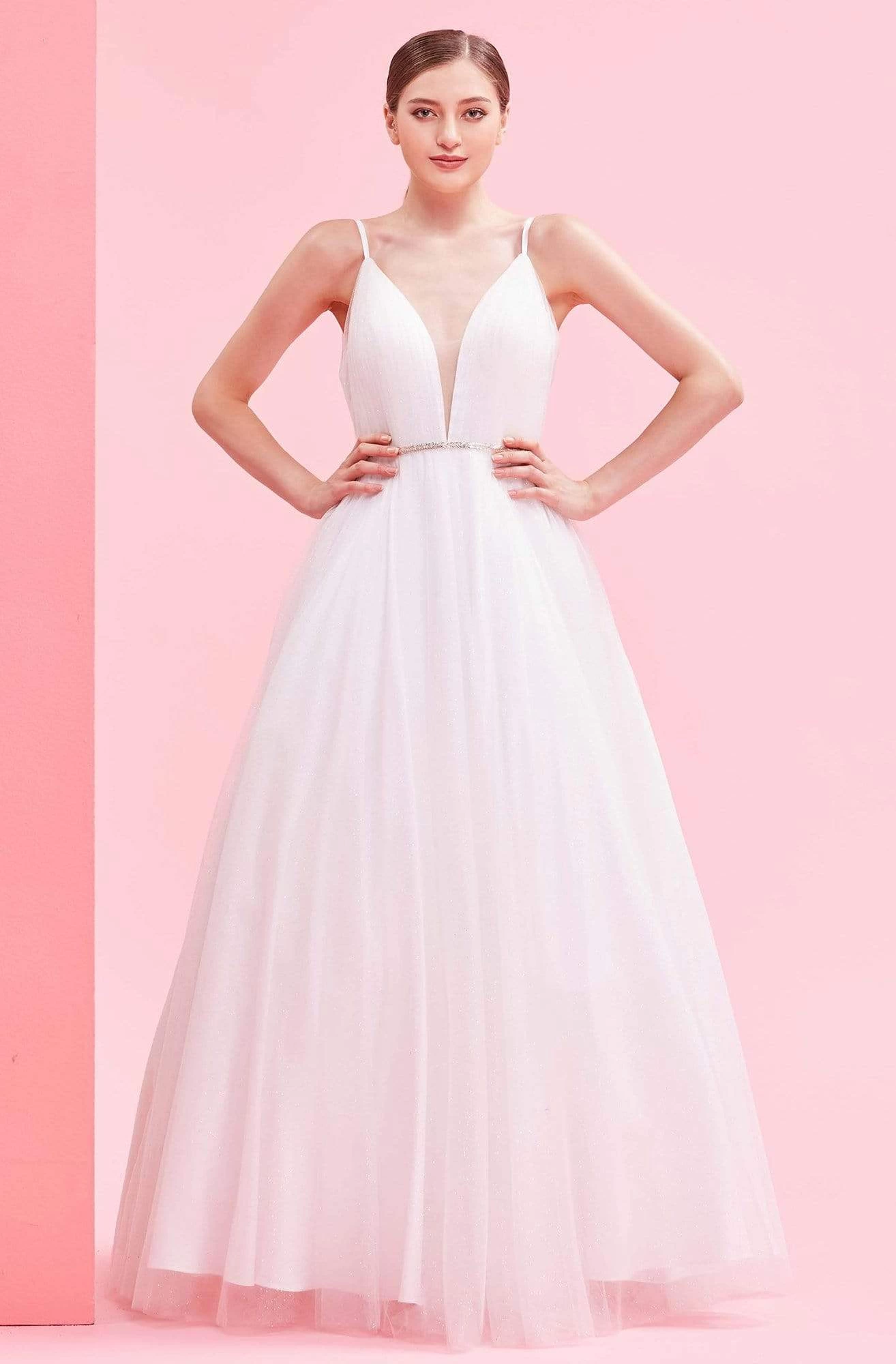 J'Adore Dresses - J16001 Sheer Plunging V Neck Sparkle Tulle Ballgown 3 J'Adore Dresses - J16001 Sheer Plunging V Neck Sparkle Tulle Ballgown