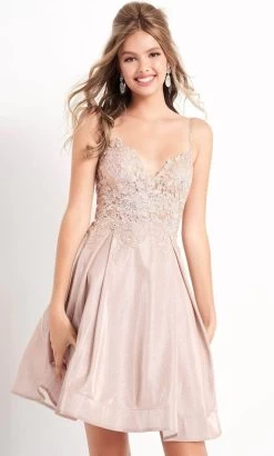 JVN By Jovani - Embroidered Bodice A-Line Dress JVN04010SC - 1 Pc Nude In Size 0 Available