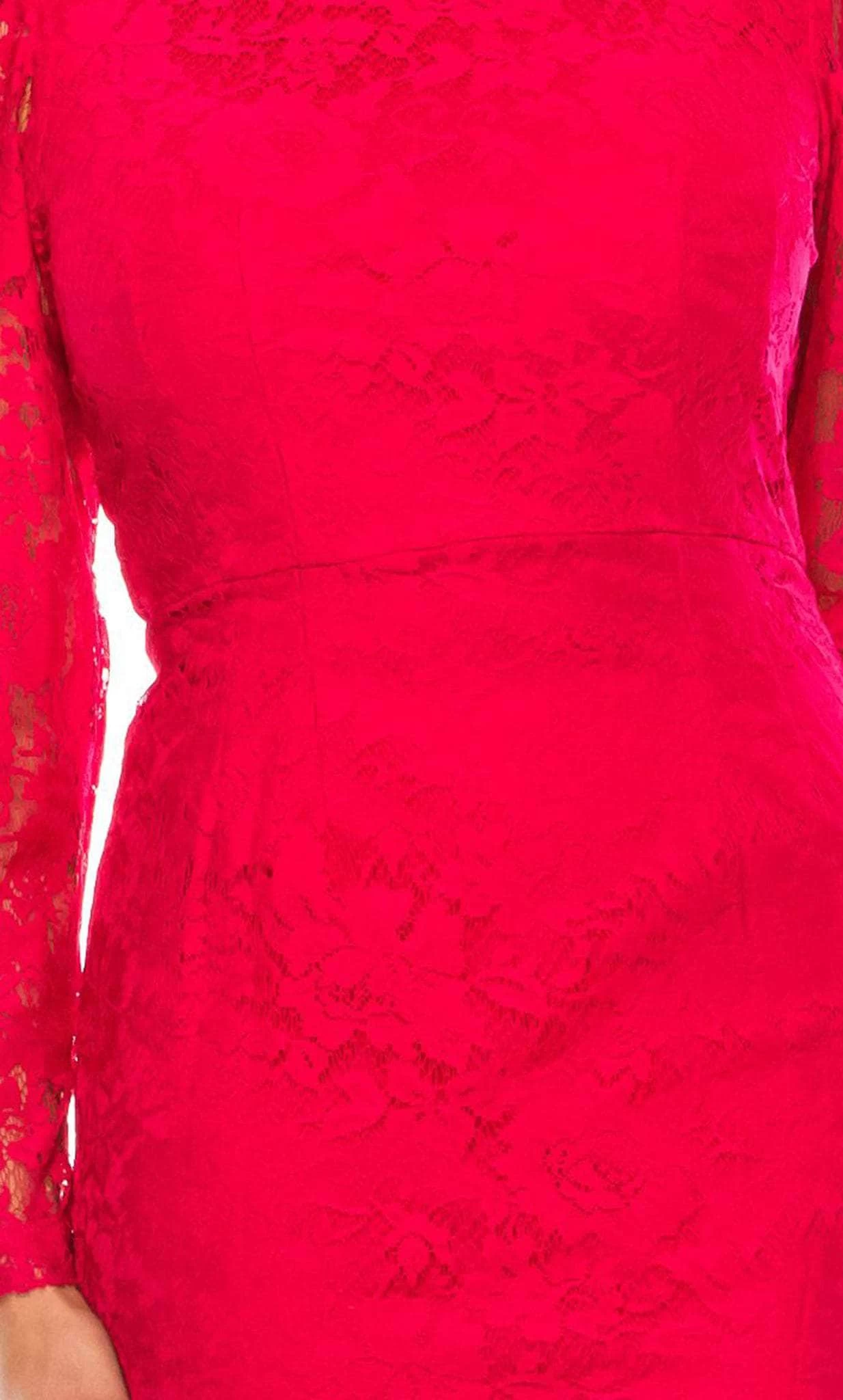 Maison Tara 91756M - High Neck Lace Formal Dress 12 Maison Tara 91756M - High Neck Lace Formal Dress - Image 10