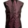 Men's Eggplant Vest With Neck Tie, Bow Tie, Hanky 1 Men's Eggplant Vest With Neck Tie, Bow Tie, Hanky -Boutique Wedding Dress Store mens eggplant vest with neck tie bow tie hanky mens vests vesuvio napoli xs eggplant 564456