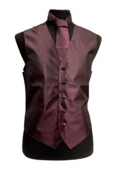 Men's Eggplant Vest With Neck Tie, Bow Tie, Hanky