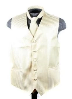 Men's Ivory Striped Vest With Neck Tie