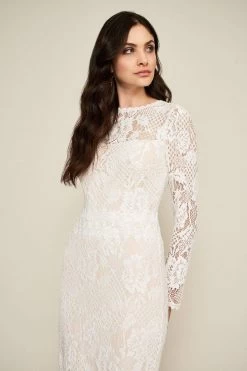 Tadashi Shoji - Lace Long Sleeve Fitted Dress -Boutique Wedding Dress Store tadashi shoji lace long sleeve fitted dress special occasion dress 11722998087763