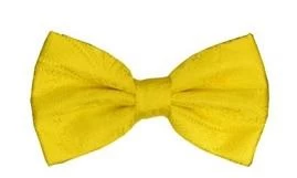 Yellow Paisley Bow Ties With Matching Pocket Squares 3 Yellow Paisley Bow Ties With Matching Pocket Squares