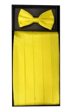 Yellow Silk Satin Cummerbund And Bow Tie Set