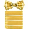 Yellow Striped Bow Tie With Pocket Square (Pointed Tip) 1 Yellow Striped Bow Tie With Pocket Square (Pointed Tip) -Boutique Wedding Dress Store yellow striped bow tie with pocket square pointed tip mens bow ties vesuvio napoli 748147